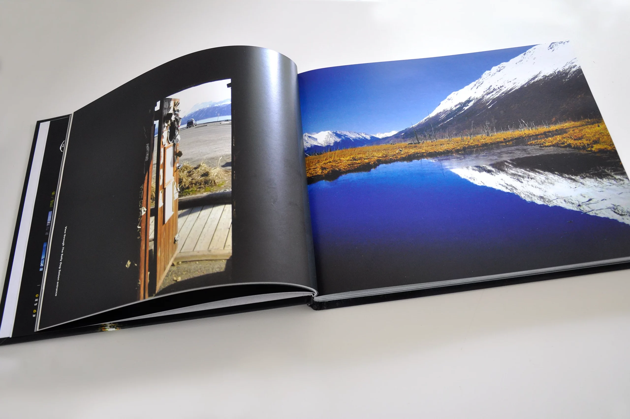 A Wandering Derek book design by Eureka Creative