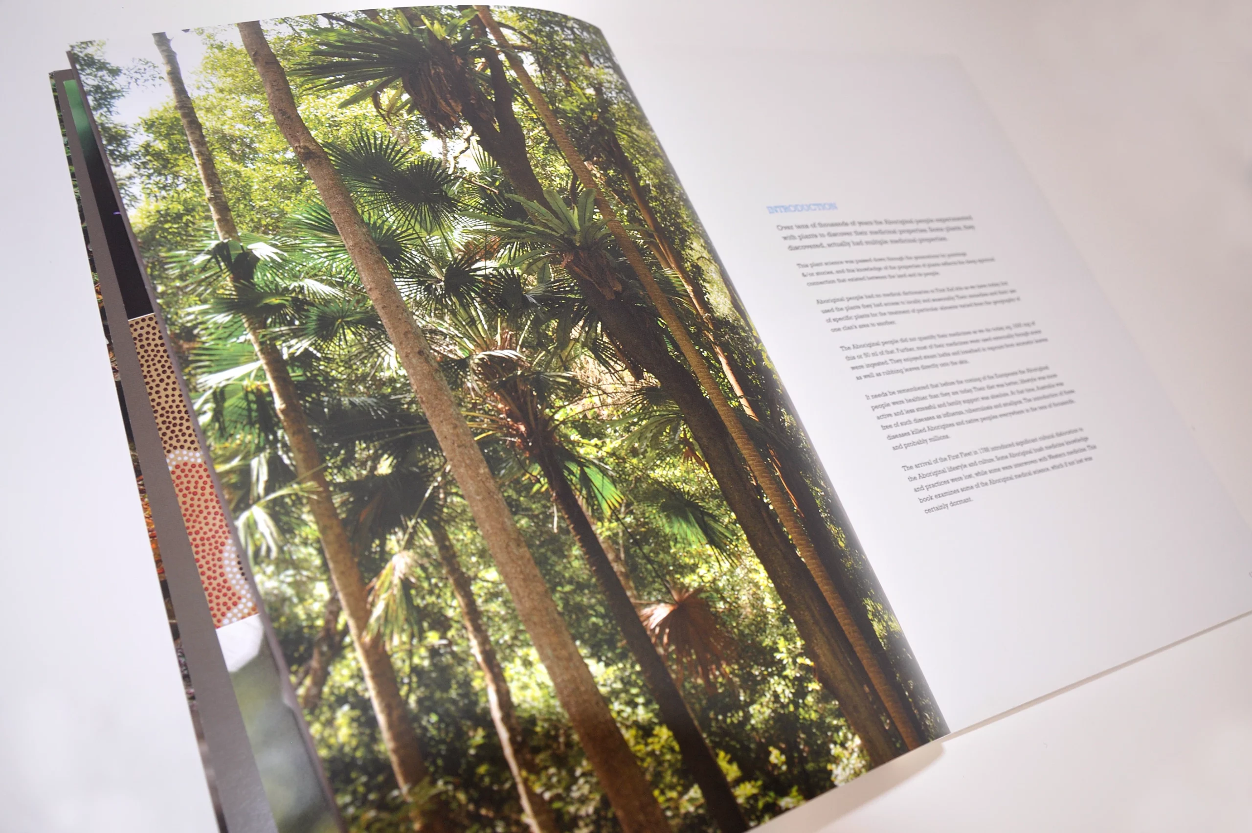 Bush Medicine Plants of the Illawarra book design by Eureka Creative