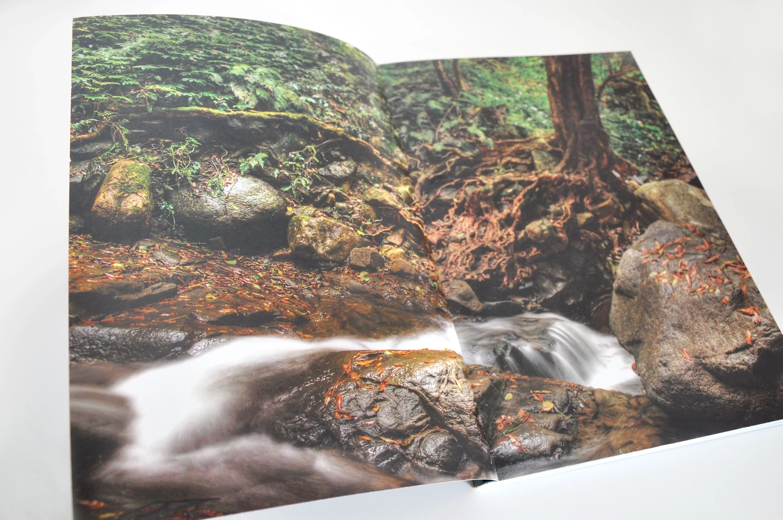 Bush Medicine Plants of the Illawarra book design by Eureka Creative